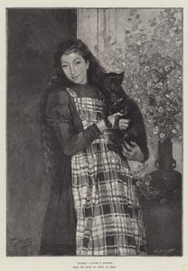 Amici